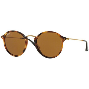 Ochelari de soare unisex Ray-Ban RB2447 1160