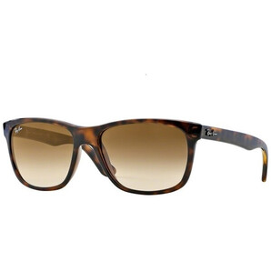 Ochelari de soare unisex Ray-Ban RB4181 710/51