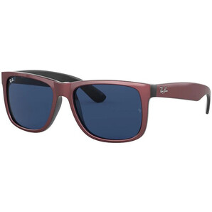 Ochelari de soare barbati Ray-Ban RB4165 646980