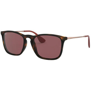 Ochelari de soare barbati Ray-Ban RB4187 639175