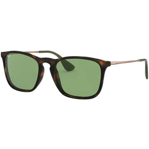 Ochelari de soare barbati Ray-Ban RB4187 6393/2