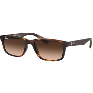 Ochelari de soare barbati Ray-Ban RB4234 620513