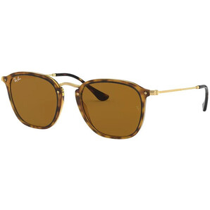 Ochelari de soare unisex Ray-Ban RB2448N 710