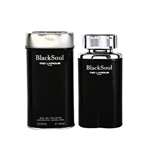 Apa de toaleta Ted Lapidus Black Soul, 100 ml, pentru barbati