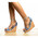 Platforme Came Albastre