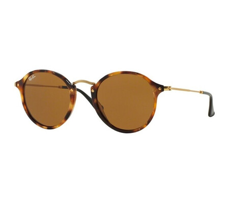 Ochelari de soare unisex Ray-Ban RB2447 1160