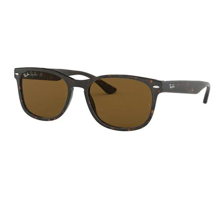 Ochelari de soare unisex Ray-Ban RB2184 902/33