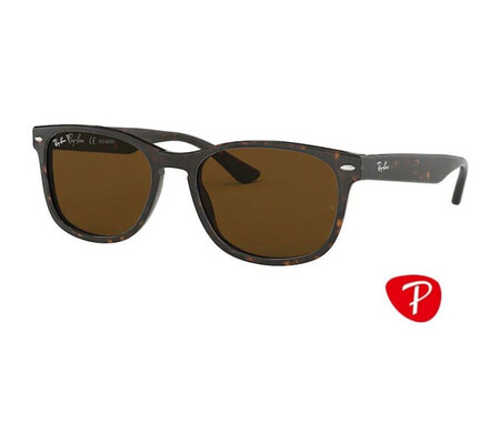 Ochelari de soare unisex Ray-Ban RB2184 902/57