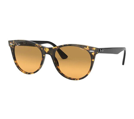 Ochelari de soare unisex Ray-Ban RB2185 1248AC