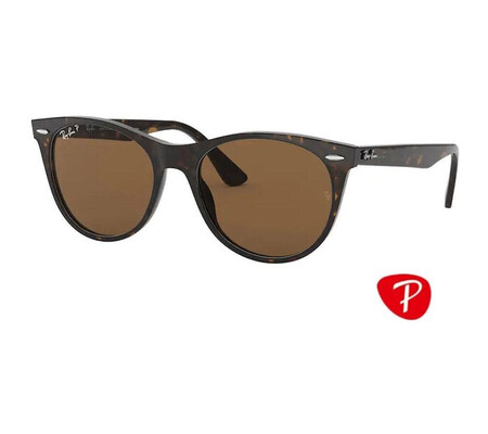 Ochelari de soare unisex Ray-Ban RB2185 902/57