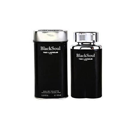 Apa de toaleta Ted Lapidus Black Soul, 100 ml, pentru barbati